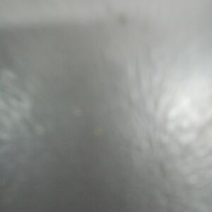 NWT ESCADA Margaretha Ley Women's Light Grey Plaid Wool Jacket Blazer